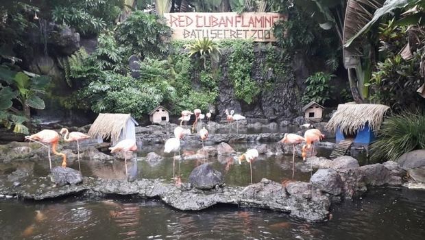 kebun binatang