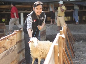 Jelang Idul Adha, ACT Jangkau Pelosok Daerah Sebarkan Hewan Kurban