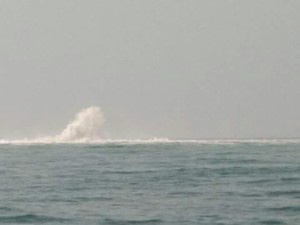 Kapal Sudah Boleh Melintas Dekat Pipa Gas Bocor di Perairan Banten
