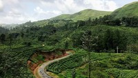 Pemandangan indah seperti ini pun tersaji sepanjang jalur kereta. Cakep! (Mihiri/lstimewa)