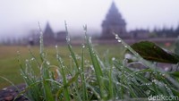 Saya dengar ada embus es di Dieng, kebetulan melintas abis bepergian jadi mampir sekalian, tuturnya saat ditemui di komplek Candi Arjuna Dieng, Senin (9/7/2018).
