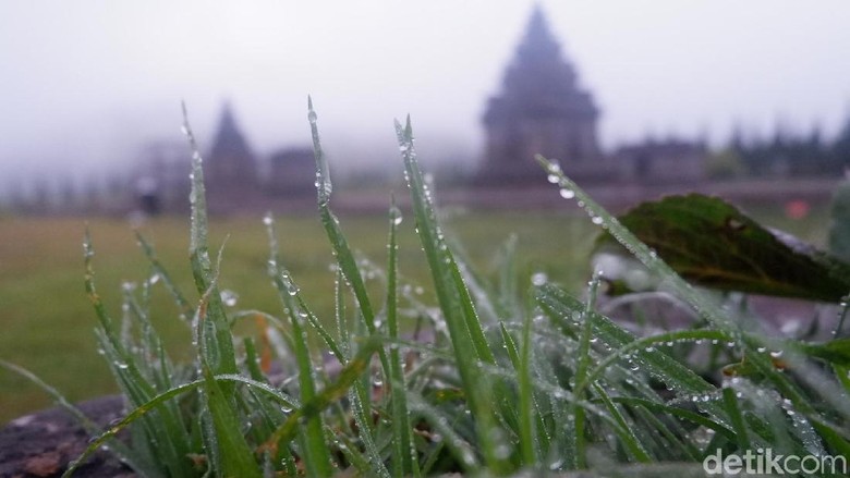 Suhu Di Dieng Pagi Ini 10 Derajat Celsius Embun Pun Tak Lagi Beku