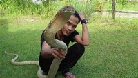 Rizky biasanya tidak membawa king cobra ke CFD. Rizky biasanya datang ke CFD membawa ular piton dan ular-ular kecil. Namun saat membawa king cobra peliharaannya, tangan kanan Rizky dipatuk. 