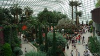 Selain itu, Gardens by the Bay juga jadi tujuan mereka (Shinta/detikTravel)