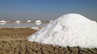 Tambak garam di Great Rann of Kutch (CNN Travel)