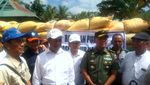 Bantuan Pupuk untuk Korban Puso di Sulawesi Selatan