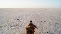 Kira-kira berjarak empat jam perjalanan di sebelah tenggara Great Rann of Kutch ada Little Rann. Little Rann of Kutch lebih variatif, ada daerah berpasir, juga ada daerah yang tak mengandung garam (CNN Travel)