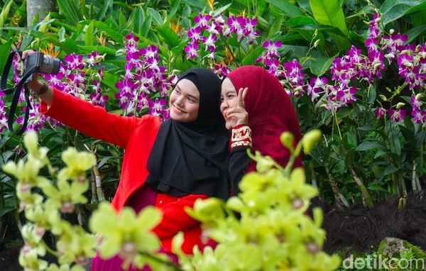Tujuan lainnya adalah taman anggrek National Orchid Garden Singapura, tempatnya cantik banget! (Shinta/detikTravel) Tujuan lainnya adalah taman anggrek National Orchid Garden Singapura, tempatnya cantik banget! (Shinta/detikTravel)