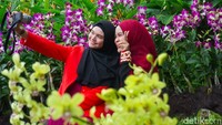 Tujuan lainnya adalah taman anggrek National Orchid Garden Singapura, tempatnya cantik banget! (Shinta/detikTravel)