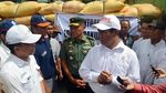 Bantuan Pupuk untuk Korban Puso di Sulawesi Selatan