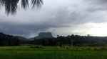 Foto: Jalur Kereta Tercantik di Sri Lanka
