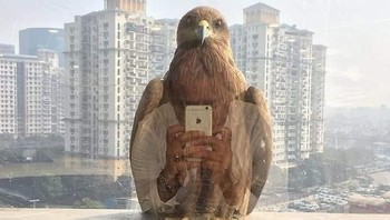 Elang kini pintar selfie. Foto: Brightside