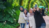 Bukan cuma lihat keindahannya, mereka juga mengabadikan momen dengan berfoto (Shinta/detikTravel)