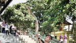 Potret Aksi Rizky Sebelum Tewas Dipatuk King Cobra di CFD
