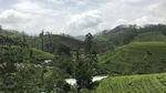 Foto: Jalur Kereta Tercantik di Sri Lanka