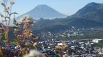 Foto: Kecantikan Dingin Dataran Tinggi Dieng yang Mulai Menghangat