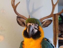 Deretan Foto Kocak Diambil Pada Saat yang Tepat