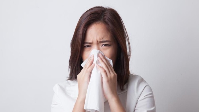 Pada tikus serangan flu yang parah bisa berefek samping tumbuhnya sel pengecap di paru-paru. (Foto ilustrasi: Shutterstock) Pada tikus serangan flu yang parah bisa berefek samping tumbuhnya sel pengecap di paru-paru. (Foto ilustrasi: Shutterstock)