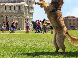 Deretan Foto Kocak Diambil Pada Saat yang Tepat