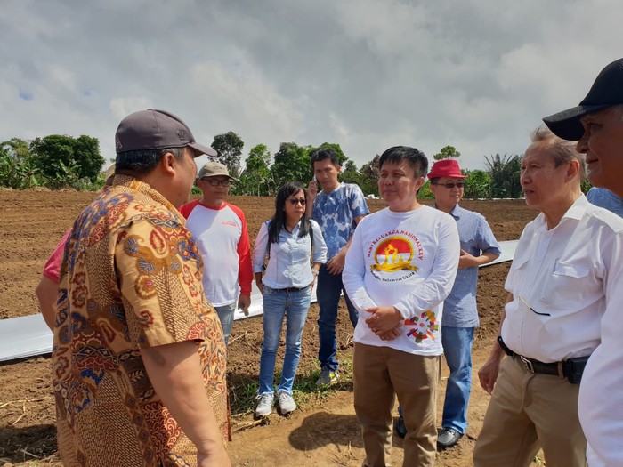 Virus Kuning yang Serang 4.000 Hektar Tanaman Cabai Bisa Dicegah