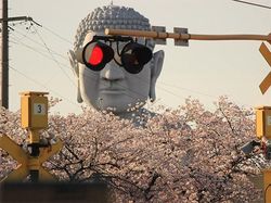 Deretan Foto Kocak Diambil Pada Saat yang Tepat