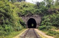 Ada 46 terowongan di jalur ini (Mihiri/detikTravel)