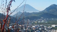 Salah seorang pengusaha homestay Tri Sakti di Desa Dieng Kulon Saroji menuturkan sejak munculnya embun es pada Jumat (6/7) lalu, usaha penginapan miliknya selalu kebanjiran pemesan. Bahkan, satu hari setelah munculnya embun es, ia sampai menolak pemesan.
