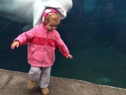 Deretan Foto Kocak Diambil Pada Saat yang Tepat