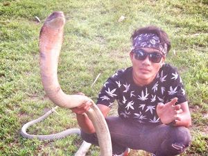 Geger Patukan King Cobra dan Rizky yang Diyakini Mati Suri