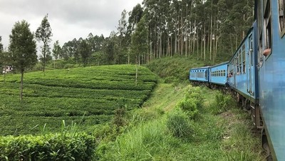 Foto: Jalur Kereta Tercantik di Sri Lanka