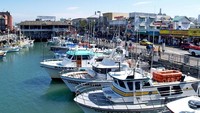 Banyak pula tur operator yang menawarkan paket wisata Sailing alias naik kapal layar dan yacht. Siap-siap berlayar mengarungi Teluk San Francisco yang indah (Fishermans Wharf)