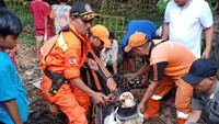 Anak pemilik kemudian meminta petugas mengevakuasi buaya tersebut karena sudah tak berani memberi makan buaya.