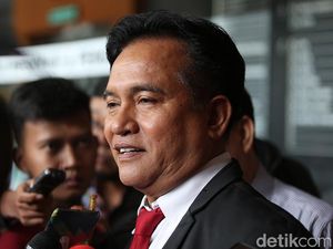 Yusril Sebut JK Berpeluang Menang Gugatan MK soal Cawapres