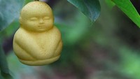 Sesuai bentuknya, buah pir ini diberi nama Buddha Shaped Pears. Pir unik ini berasal dari China. Harga satu buah pir dibanderol sebesar $8 (Rp 114 ribu).Foto: Istimewa