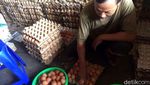 Duh! Harga Telur Ayam Naik