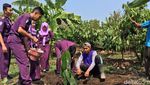 Serunya Belajar Tanam dan Olah Hasil Panen Cokelat