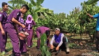 Meski cuaca sedang panas, wisatawan tak perlu khawatir sebab rimbunnya pepohonan kakao bakal membuat proses belajar pengunjung menjadi nyaman.