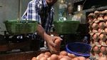 Duh! Harga Telur Ayam Naik