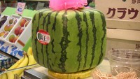 Semangka kotak ini sempat viral beberapa tahun lalu. Karena bentuknya yang unik, harganya pun tak murah. Satu buah semangka dengan berat 5.8 kg dianderol sebesar $800 (Rp 11.4 juta).Foto: Istimewa