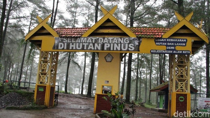Event wisata di Malino, Gowa, Sulsel
