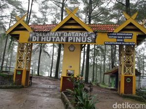Daftar Lengkap Kode Pos Kecamatan Tinggimoncong untuk Semua Kelurahan