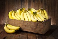 Sebulan Tiap Malam Hanya Makan Pisang dan Melon, Pria Ini Alami Diabetes