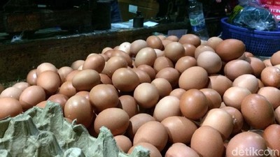 Duh! Harga Telur Ayam Naik