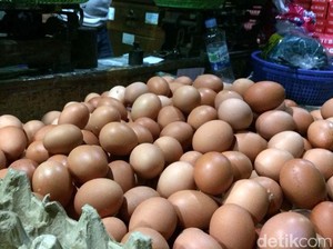 Harga Telur Ayam Jadi Mahal Gara-gara Dolar AS Naik?