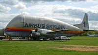 Pada masa-masa awal, Airbus menggunakan pesawat transport Guppy Boeing 377 Stratocruiser untuk memindahkan komponen pesawat yang akan diangkut tersebut. Istimewa/Airbus.