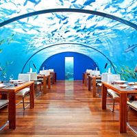 Ini Restoran Bawah Laut yang Eksotik dan Seru di Maladewa