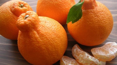 Pencinta Buah, Ini 9 Buah Istimewa Berharga Jutaan Rupiah