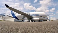Beluga memperoleh namanya dari mamalia air besar yang memiliki kemiripan yang mencolok. Bahkan, BelugaXL baru dicat agar terlihat seperti sosok seekor paus. Istimewa/Airbus.
