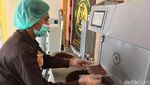 Serunya Belajar Tanam dan Olah Hasil Panen Cokelat