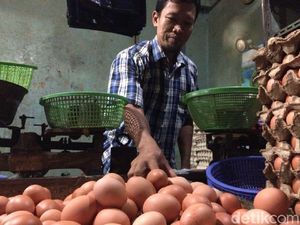 Telur Ayam Rp 28.000/Kg, Pedagang: Pembeli Tanya, Kok Mahal?